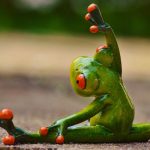 Grüner Frosch macht Yoga
